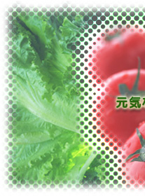 ���C�Ȑl�X�A���C�ȉ�ЁA���C�Ȏs��E�E�E�������邵